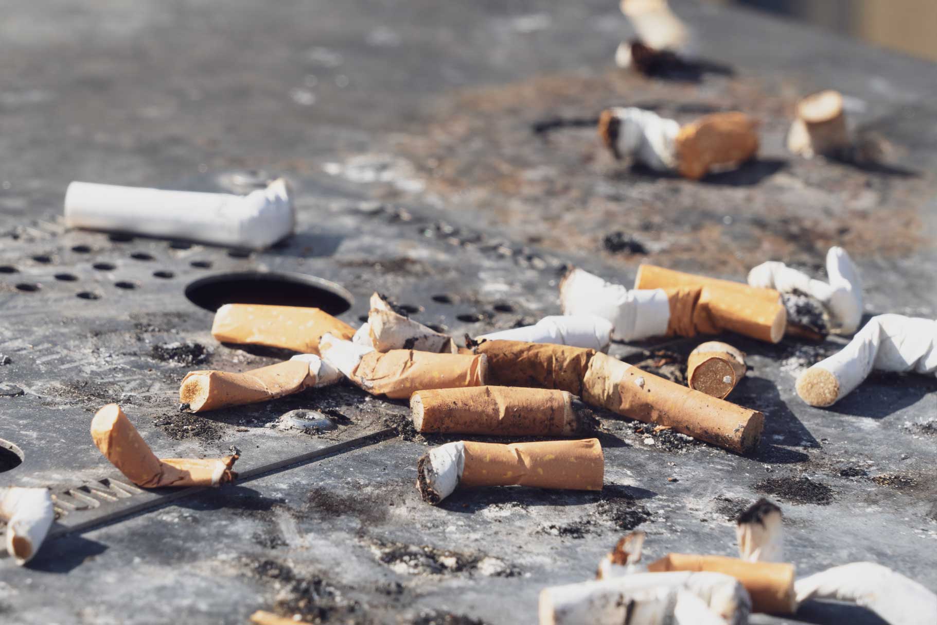 Cigarette butts